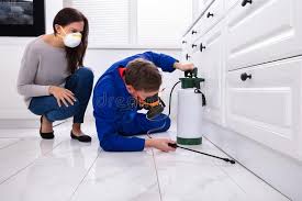 Best Real Estate Pest Inspections  in Fennimore, WI